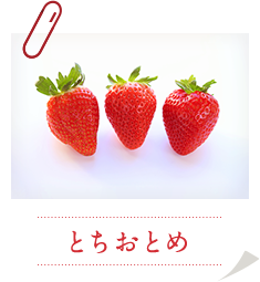 とちおとめ