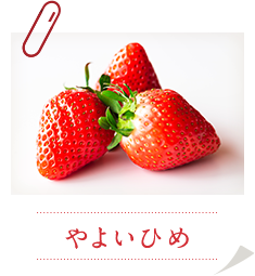 やよいひめ