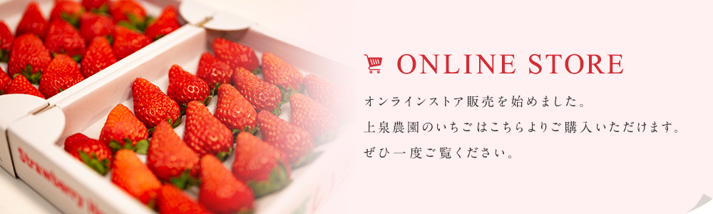 ONLINE STORE