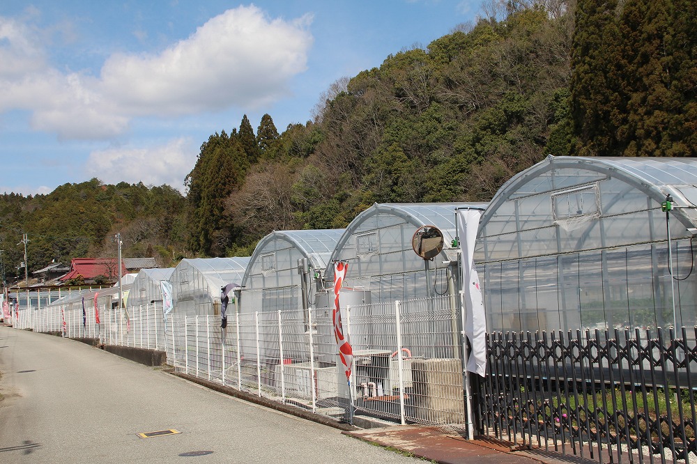 2種類の栽培方法