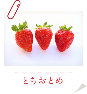 とちおとめ