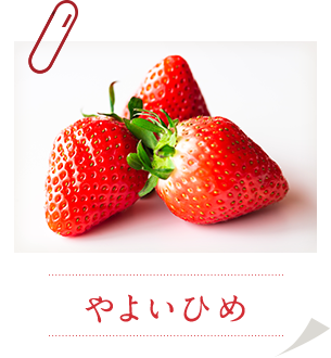 やよいひめ
