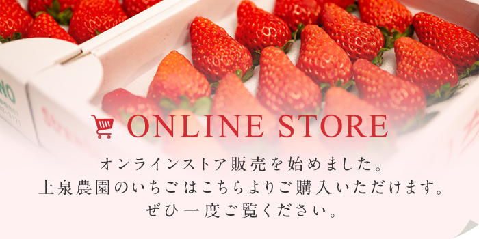 ONLINE STORE